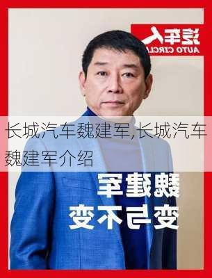 长城汽车魏建军,长城汽车魏建军介绍