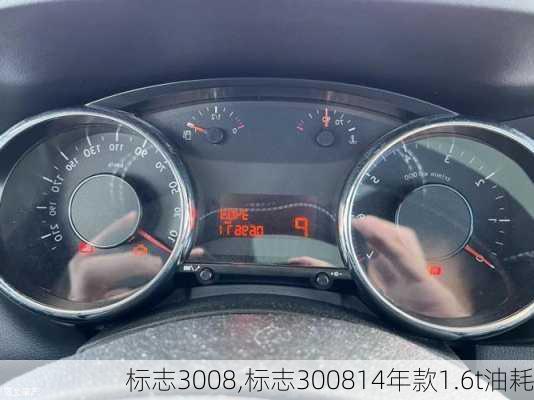 标志3008,标志300814年款1.6t油耗