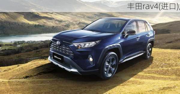 丰田rav4(进口),