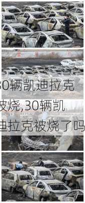 30辆凯迪拉克被烧,30辆凯迪拉克被烧了吗