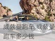 威兹曼跑车,威兹曼跑车多少钱