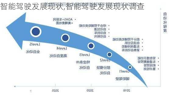 智能驾驶发展现状,智能驾驶发展现状调查