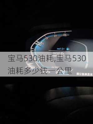 宝马530油耗,宝马530油耗多少钱一公里