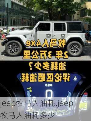 jeep牧马人油耗,jeep牧马人油耗多少