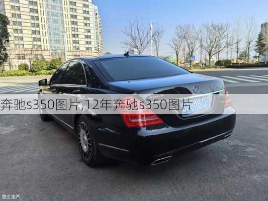 奔驰s350图片,12年奔驰s350图片