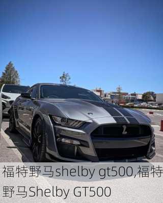 福特野马shelby gt500,福特野马Shelby GT500