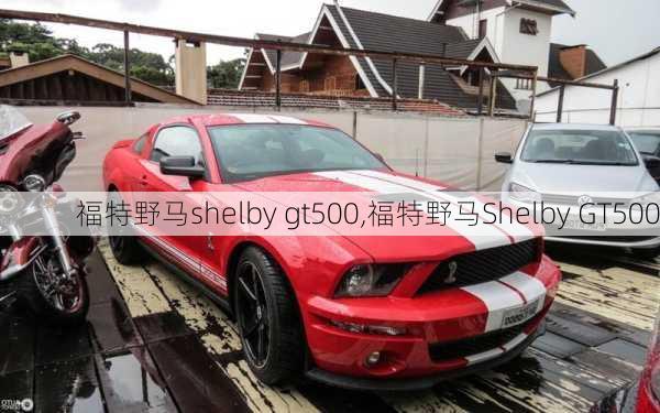 福特野马shelby gt500,福特野马Shelby GT500