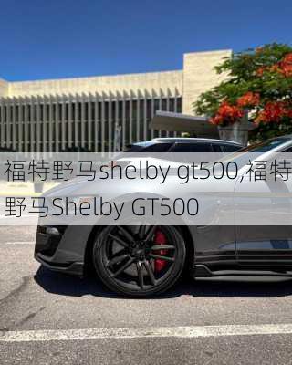 福特野马shelby gt500,福特野马Shelby GT500