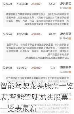 智能驾驶龙头股票一览表,智能驾驶龙头股票一览表最新