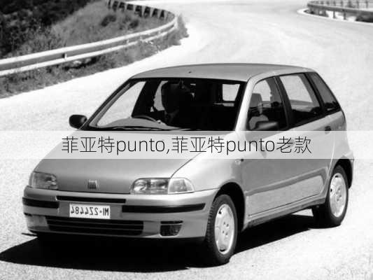 菲亚特punto,菲亚特punto老款