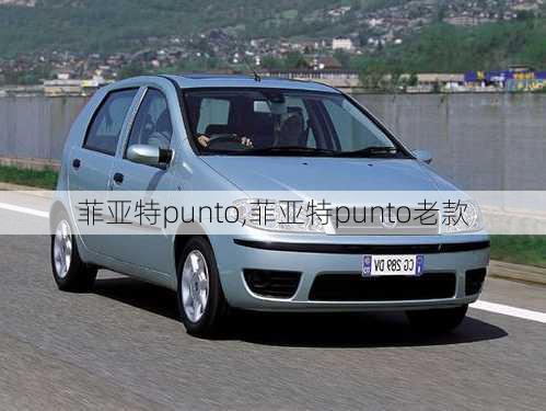 菲亚特punto,菲亚特punto老款