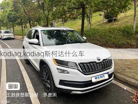 kodiaq,kodiaq斯柯达什么车