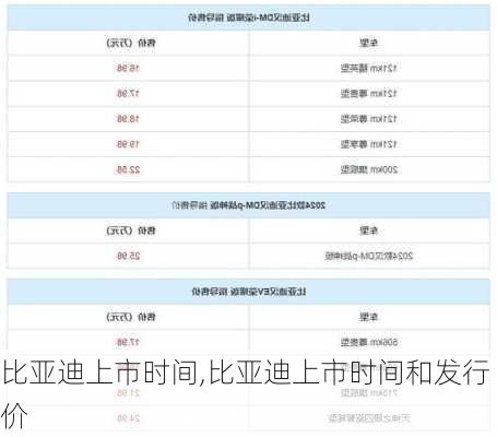 比亚迪上市时间,比亚迪上市时间和发行价