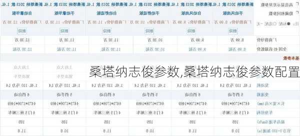 桑塔纳志俊参数,桑塔纳志俊参数配置