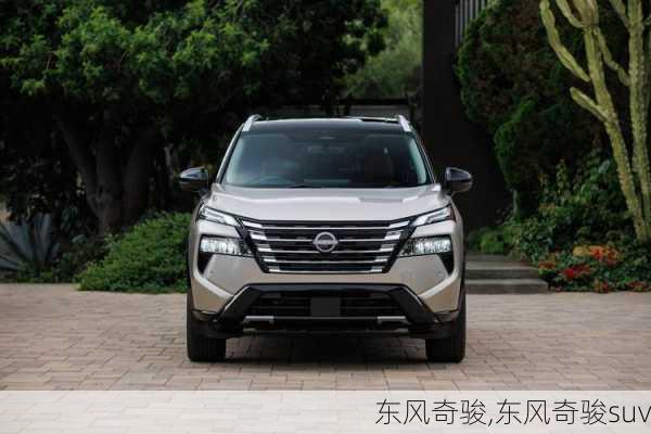 东风奇骏,东风奇骏suv