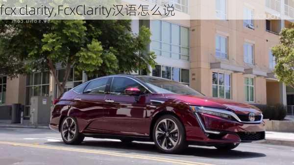 fcx clarity,FcxClarity汉语怎么说