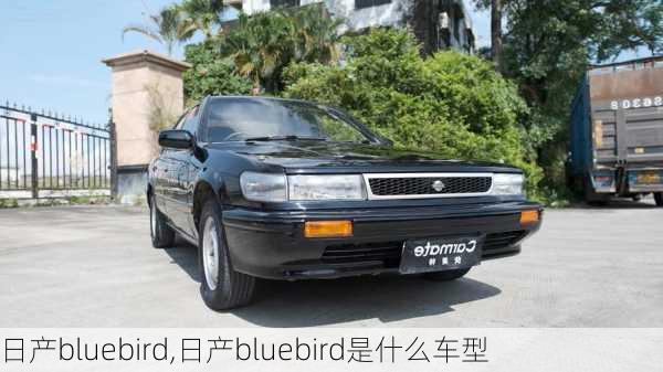 日产bluebird,日产bluebird是什么车型