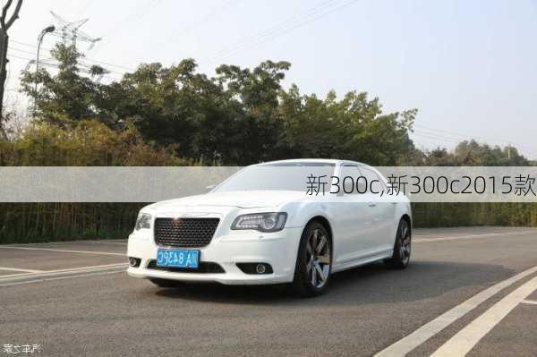 新300c,新300c2015款