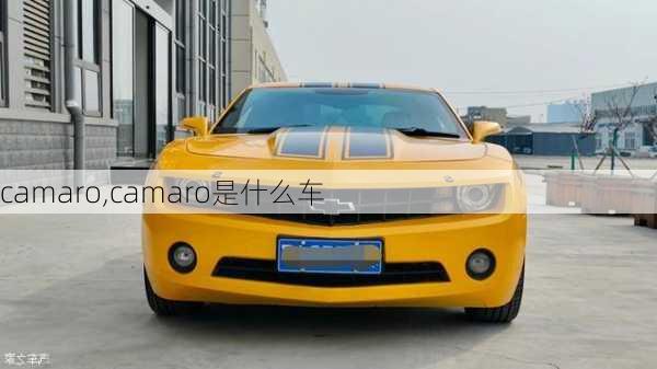 camaro,camaro是什么车