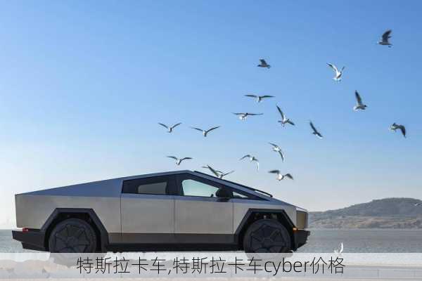 特斯拉卡车,特斯拉卡车cyber价格