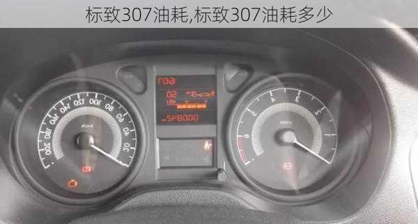 标致307油耗,标致307油耗多少