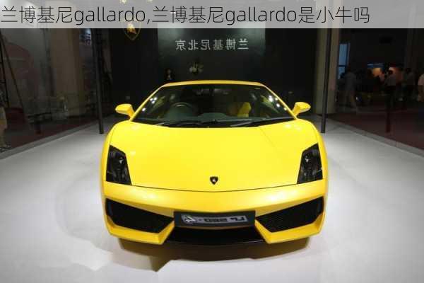 兰博基尼gallardo,兰博基尼gallardo是小牛吗