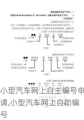 小型汽车网上自主编号申请,小型汽车网上自助编号