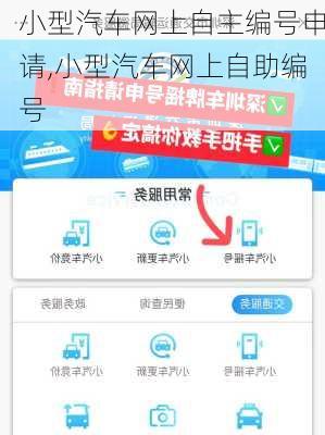 小型汽车网上自主编号申请,小型汽车网上自助编号