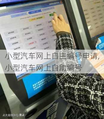 小型汽车网上自主编号申请,小型汽车网上自助编号